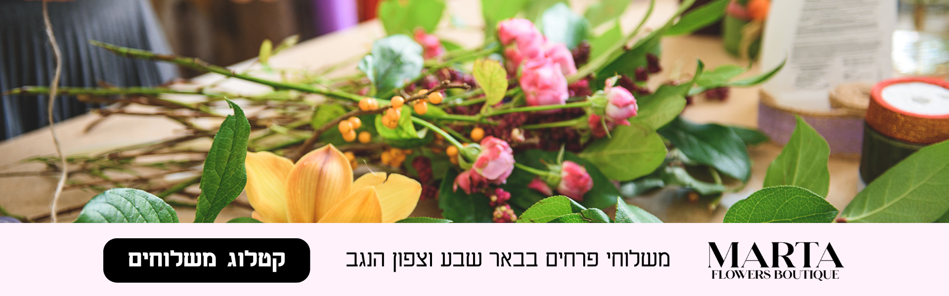 לא מה שחיפשתם?