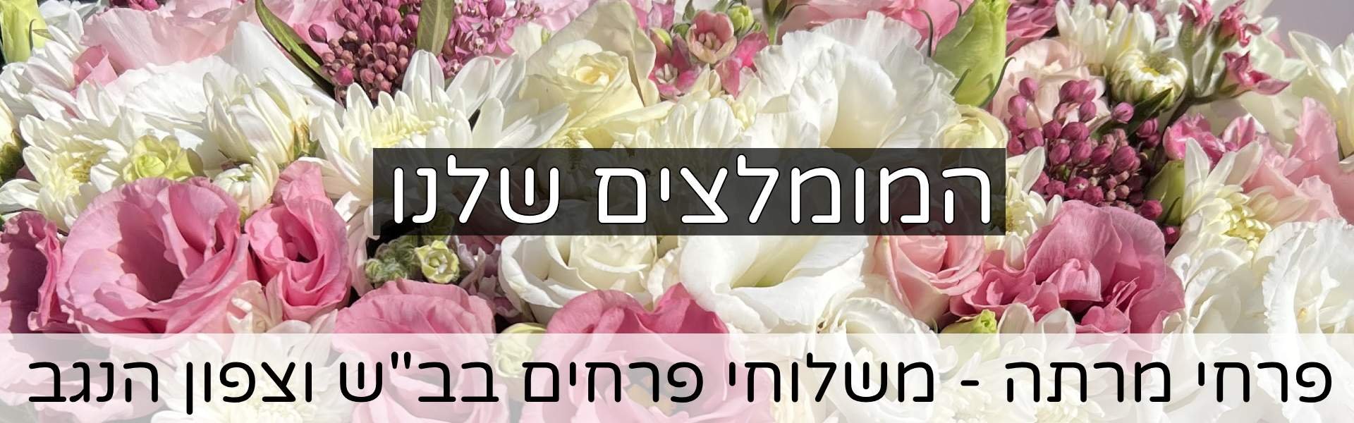 המומלצים שלנו