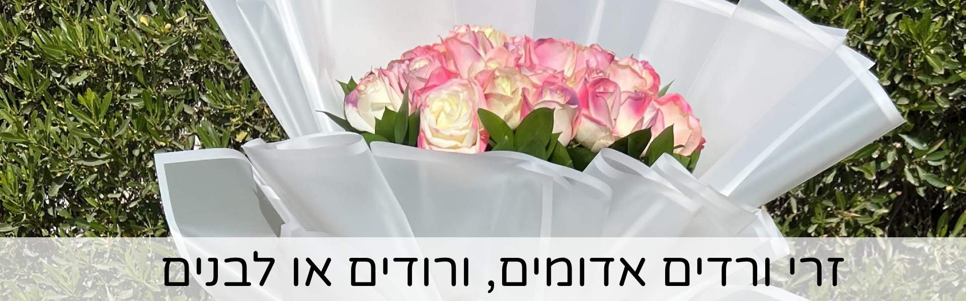 זרי ורדים