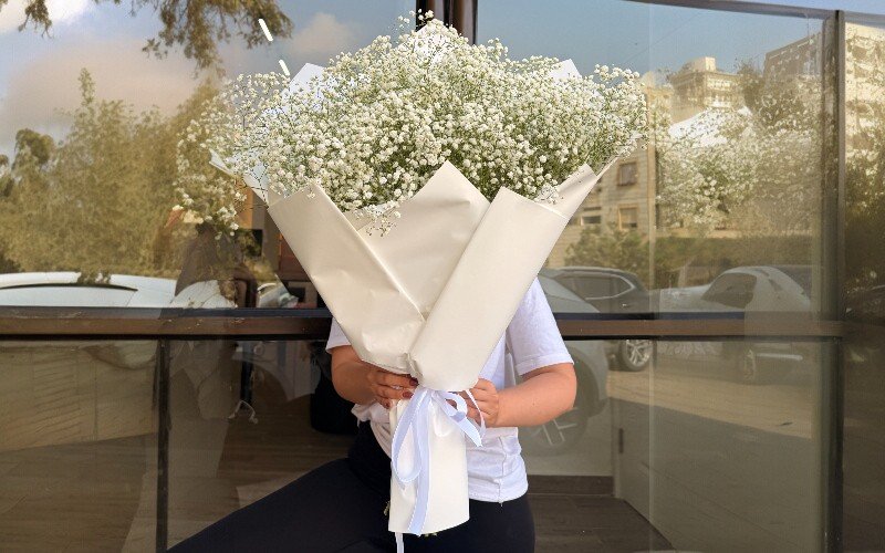 זרי גיבסנית