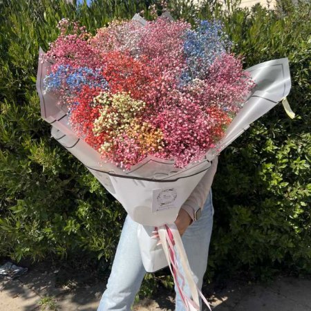 זר גיבסניות צבעוני