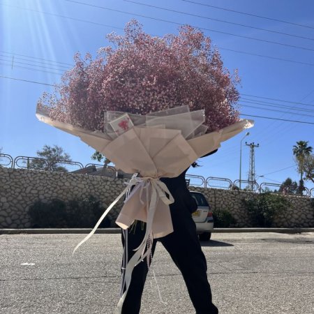 זר גיבסניות ורוד