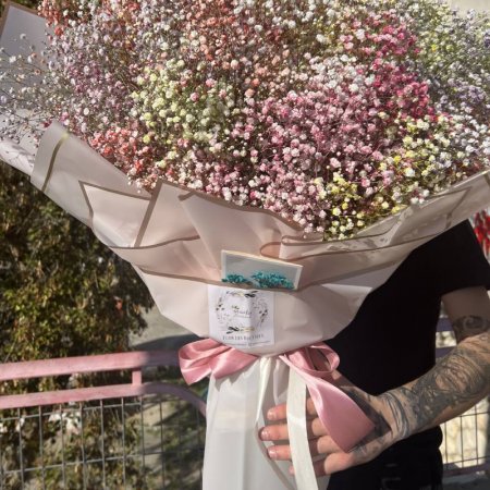 זר גיבסנית ורודה