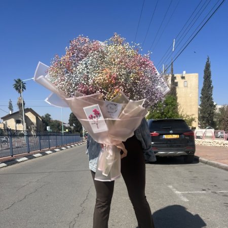 זר פרחים יבשים גבסנית צבעוני