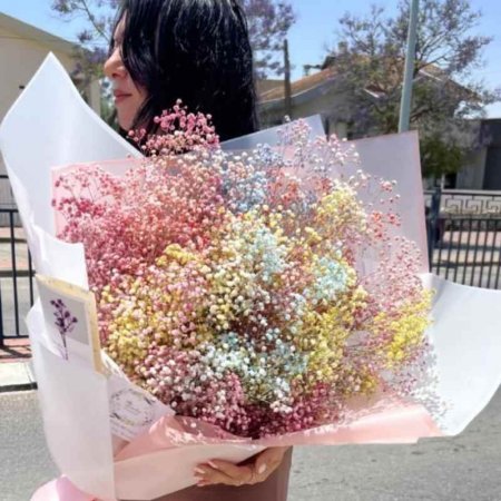 זר גיבסנית צבעונית מיובשת