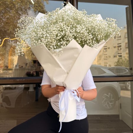 זר גבסנית לבנה